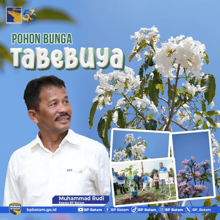 bunga bp