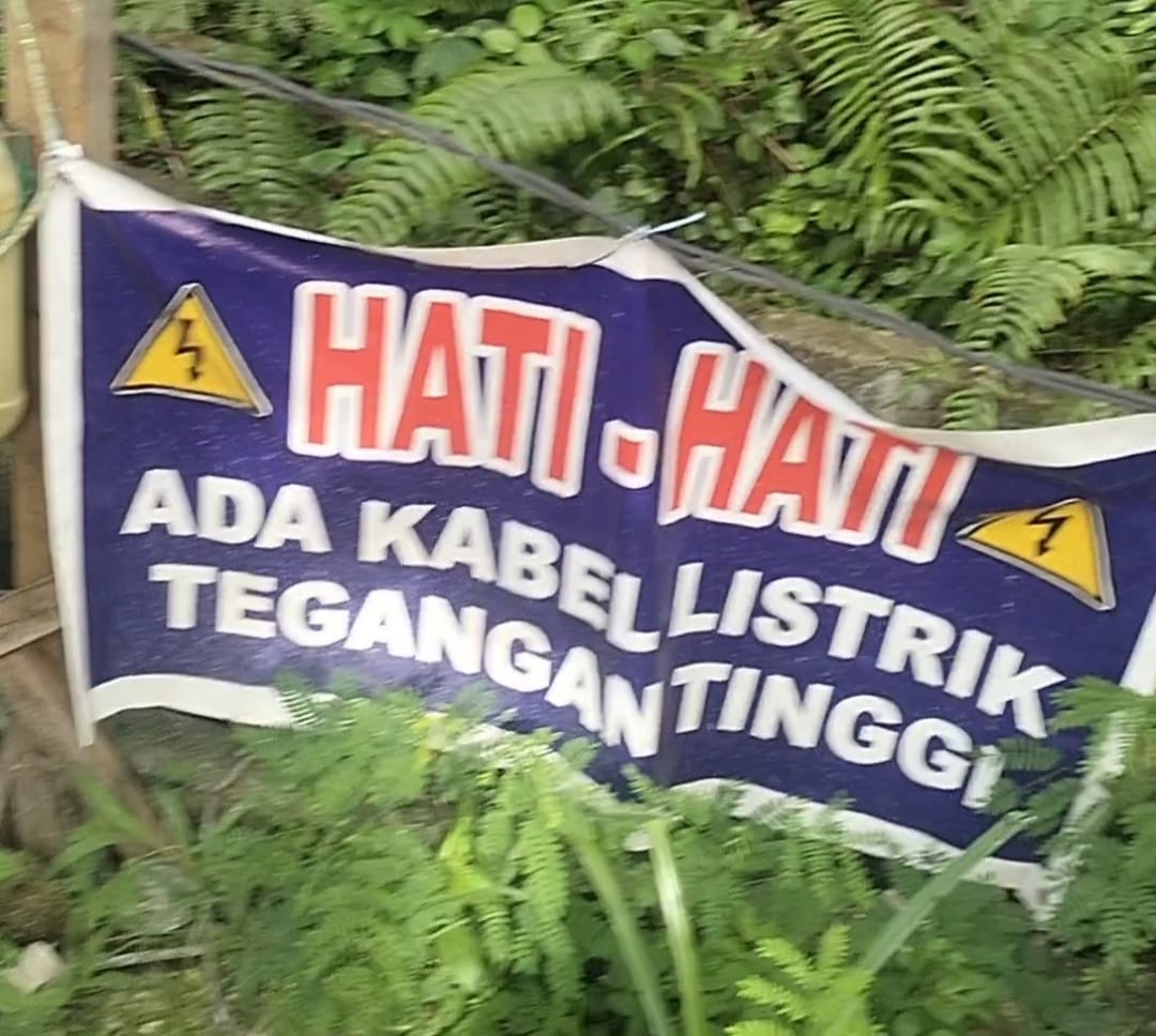 IMG-20241206-WA0137
