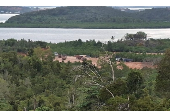 Proyek Cut and Fill di Piayu Laut Diduga Langgar Aturan, Material Timbun Hutan Mangrove 1 1761543142783