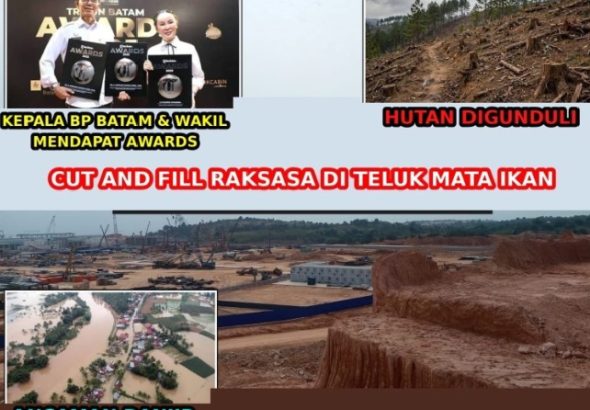 Direktur Dituntut di Kasus Hutan Lindung, Proyek Cut and Fill Teluk Mata Ikan Disorot 21 1790333572460
