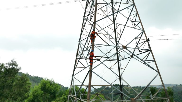 Upaya Cepat PLN Batam, Kejar Pemulihan Sistem dan Siagakan Pendampingan Genset Pelanggan 11 IMG-20261012-WA0028
