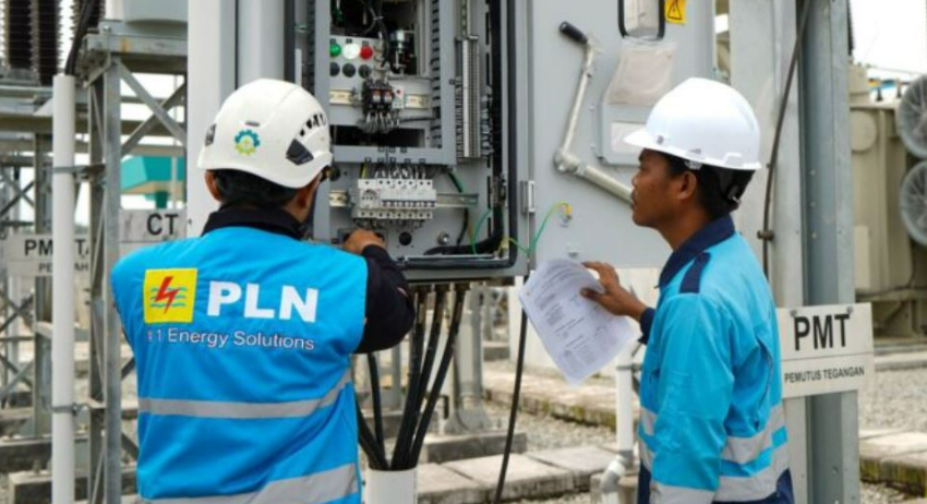 pln cn